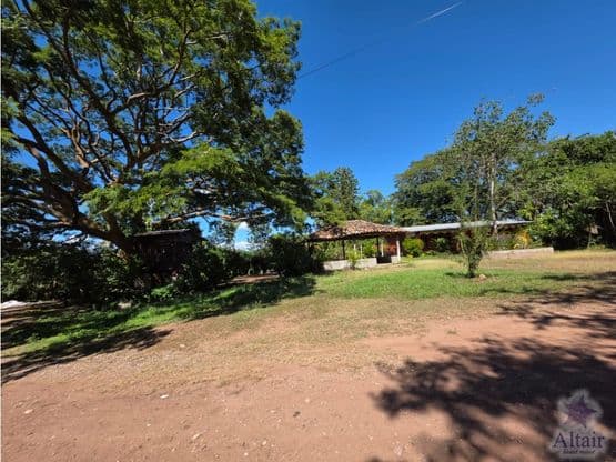 Se Vende Finca de Producción de Mango en Ajuterique Comayagua